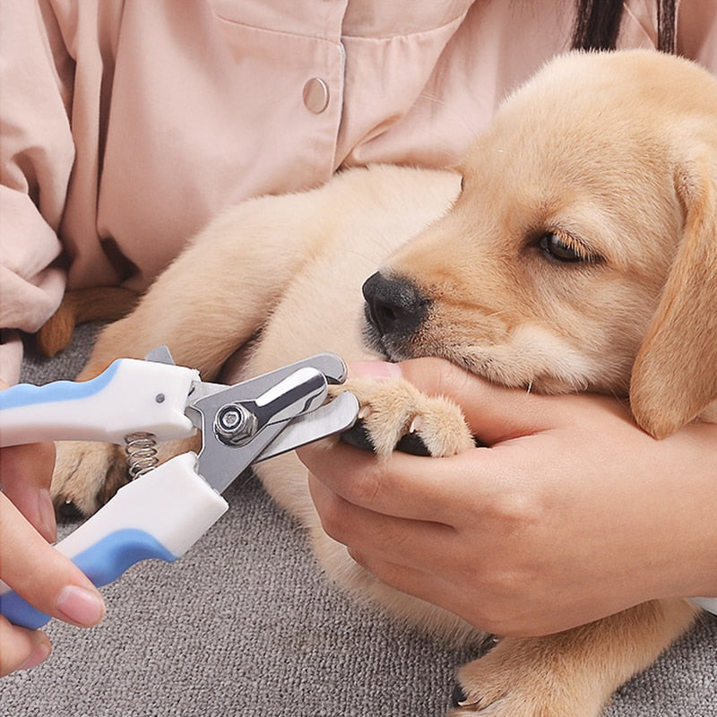 Pet Nail Clipper Scissors Pet Dog and cat grooming