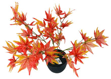 Load image into Gallery viewer, Artificial Maple Tree 47cm
