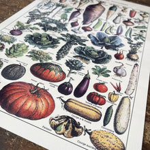 Load image into Gallery viewer, Vintage Metal Sign - Vintage Botanical Kitchen Vegetables Sign
