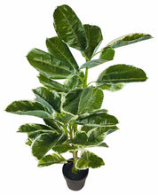 Load image into Gallery viewer, Artificial Large 110cm Rubber Ficus
