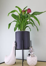 Load image into Gallery viewer, Black Planter Metal Stand 28cm
