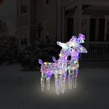 Load image into Gallery viewer, Christmas Reindeers 2 pcs Blue, Multicolour Warm &amp; Cold White 80 LEDs Acrylic
