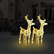 Load image into Gallery viewer, Christmas Reindeers 2 pcs Blue, Multicolour Warm &amp; Cold White 80 LEDs Acrylic
