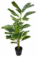 Load image into Gallery viewer, Artificial Large 110cm Rubber Ficus
