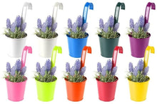 Load image into Gallery viewer, 10 x Bright Colourful Metal Balcony Plant Flower Pot Hanging Vase Set of 10 Bright Colours Garden Décor
