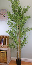 Load image into Gallery viewer, Artificial Bamboo Tree with 7 Real Bamboo Stems, 200cm
